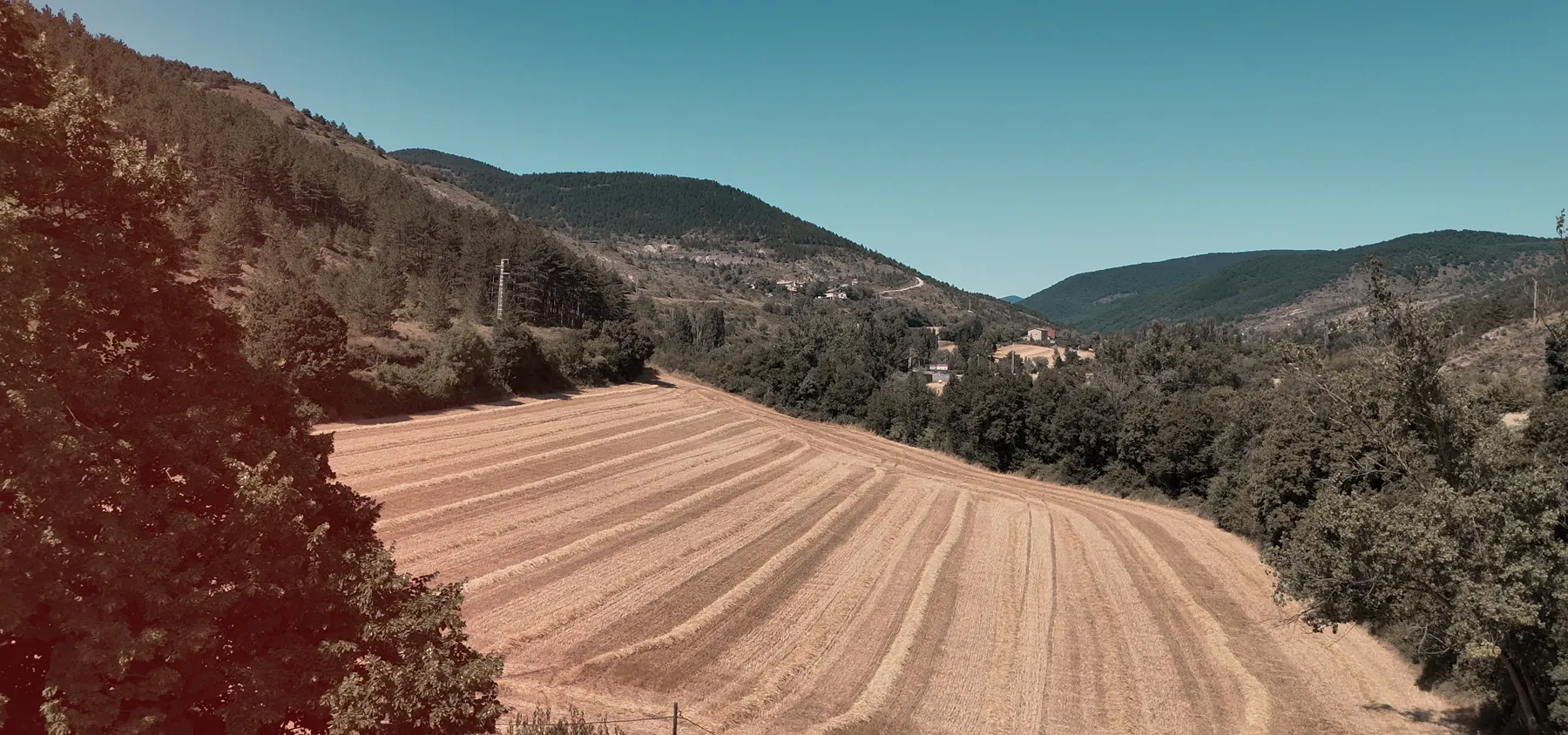 Fotograma de vídeo de boda de DOME Weddings: plano aéreo con dron de un valle y un campo labrado